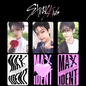 STRAY KIDS Felix '' Maxident '' Albüm Kart Seti