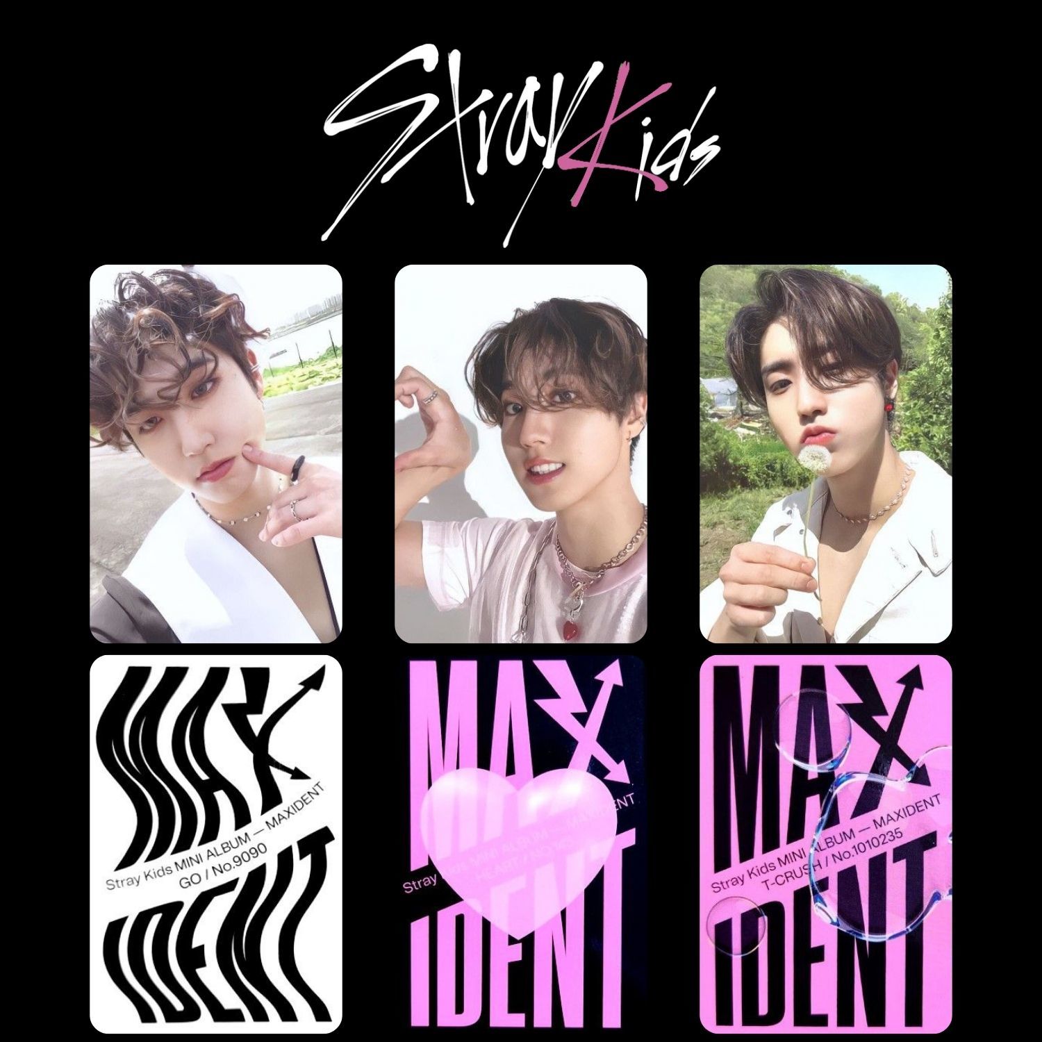 STRAY KIDS Han '' Maxident '' Albüm Kart Seti