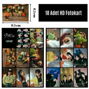 STRAY KIDS  '' Oddinary ''  Fotokart Seti 2