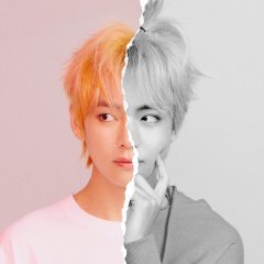BTS ''LOVE YOUR SELF  [ANSWER]'' GRUP VE ÜYE KARTPOSTALLARI (L VERSIYON)