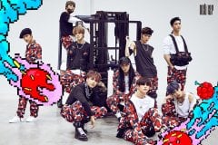 NCT 127 ''CHERRY BOMB'' GRUP VE ÜYE KARTPOSTALLARI