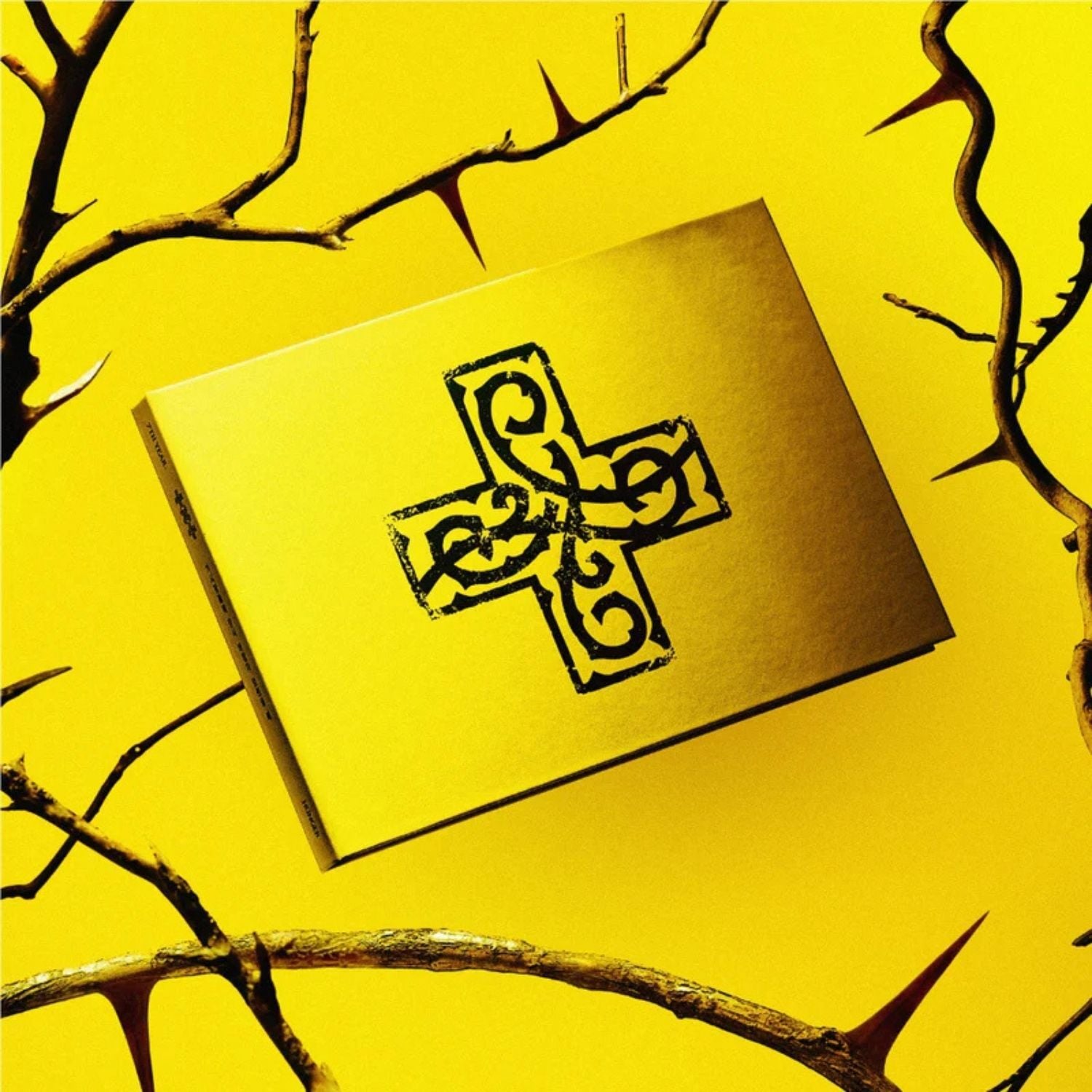 TXT '' 7th Year : When the Wind Paused in the Thorns '' Album Hunger Versiyon
