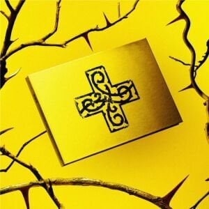 TXT '' 7th Year : When the Wind Paused in the Thorns '' Album Hunger Versiyon