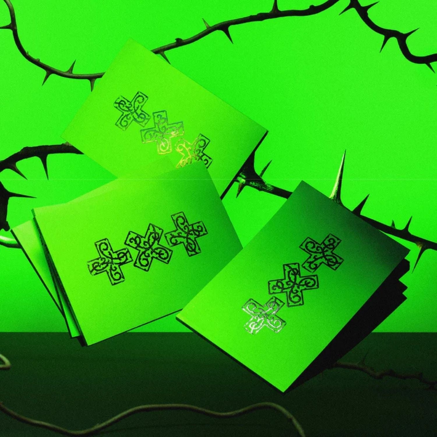 TXT '' 7th Year : When the Wind Paused in the Thorns '' Album Thorn Versiyon (Random)