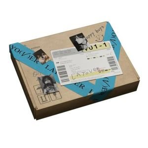 BTS V – Layover BLUE VERSIYON