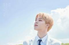BTS JIMIN ''2018 SEASON'S GREETINGS'' KART POSTAL SETİ