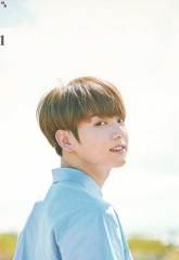 BTS JUNGKOOK ''2018 SEASON'S GREETINGS'' KART POSTAL SETİ