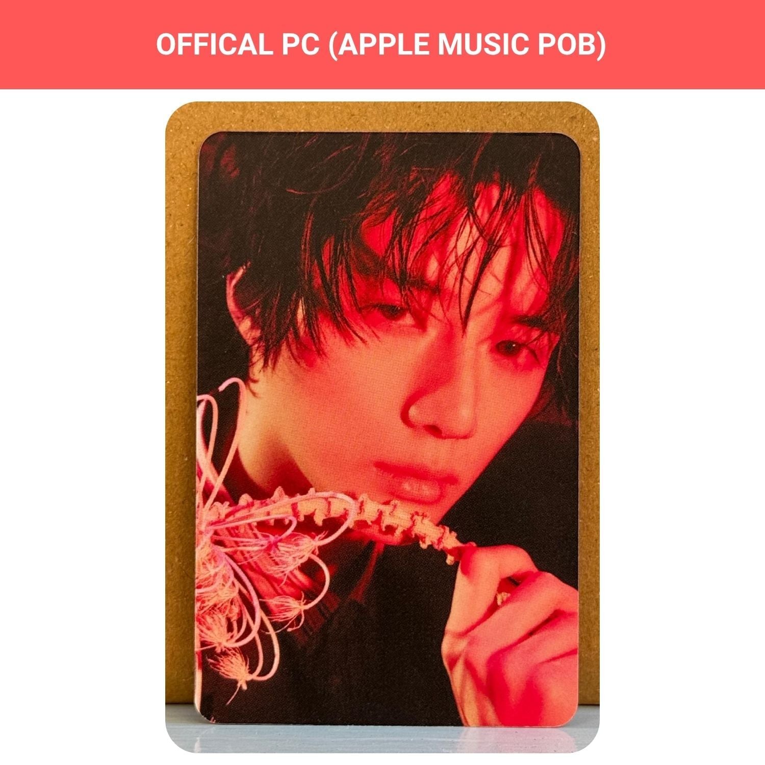 TXT Beomgyu '' 7th Year : When the Wind Paused in the Thorns '' Apple Music Photocard