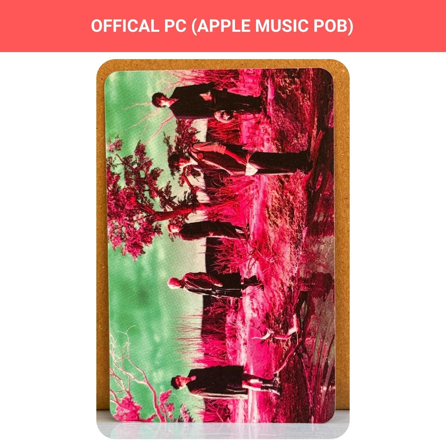 TXT Grup '' 7th Year : When the Wind Paused in the Thorns '' Apple Music Photocard