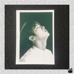 BTS WINGS MD FACE JIN KART POSTAL SETİ