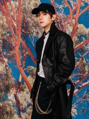 EXO BAEKHYUN ''DMUMT'' POSTER VE KARTPOSTALLARI
