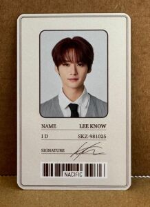 STRAY KIDS Lee Know '' Nacific X Stray Kids '' Photocard