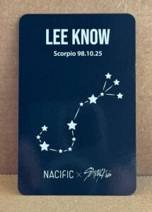 STRAY KIDS Lee Know '' Nacific X Stray Kids '' Photocard