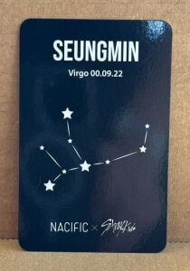 STRAY KIDS Seungmin '' Nacific X Stray Kids '' Photocard
