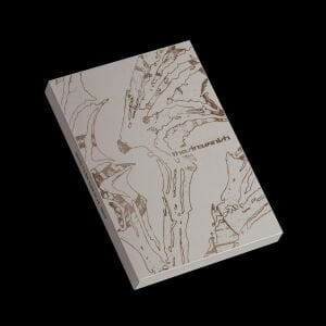 ENHYPEN – THE SIN : VANISH AFTERLIGHT Ver.
