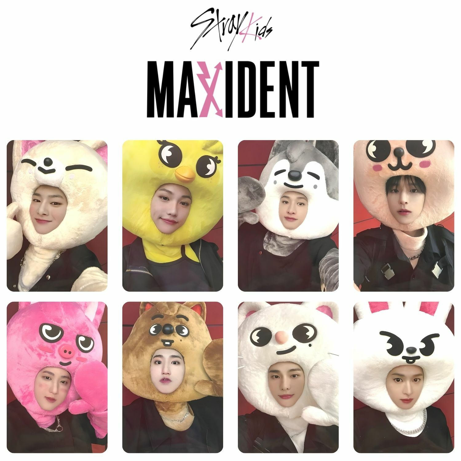 STRAY KIDS '' Maxident '' POB 2 PC Set
