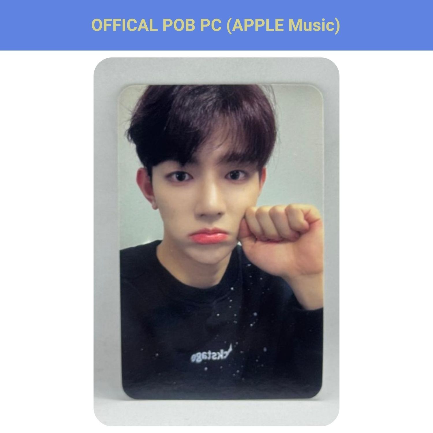 ZEROBASEONE ZHANG HAO '' Melting Point '' Apple Music POB Photocard