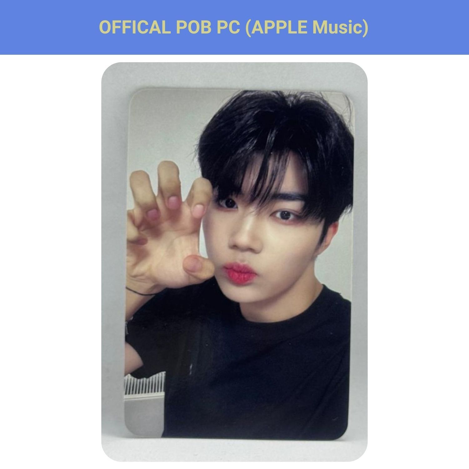 ZEROBASEONE  GUN WOOK '' Melting Point '' Apple Music POB Photocard